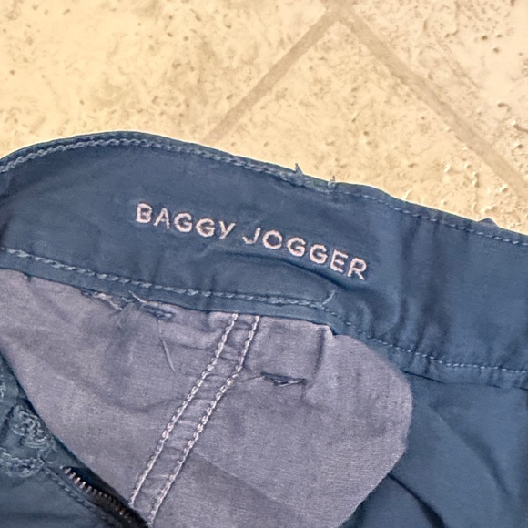 American Eagle Outfitters Navy Jogger Pants - Picture 3 of 11